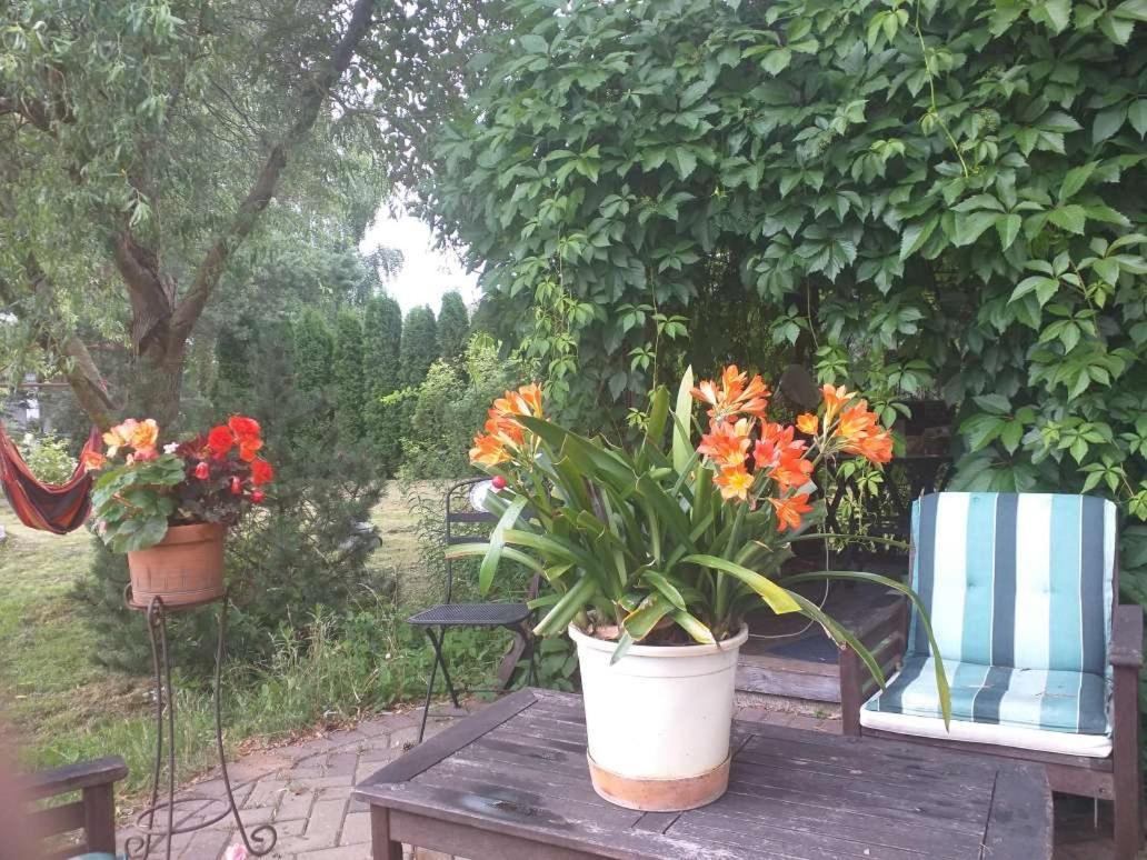 Guest House Pechersky & Sons Dreilini  Екстер'єр фото