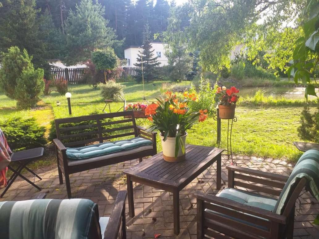 Guest House Pechersky & Sons Dreilini  Екстер'єр фото