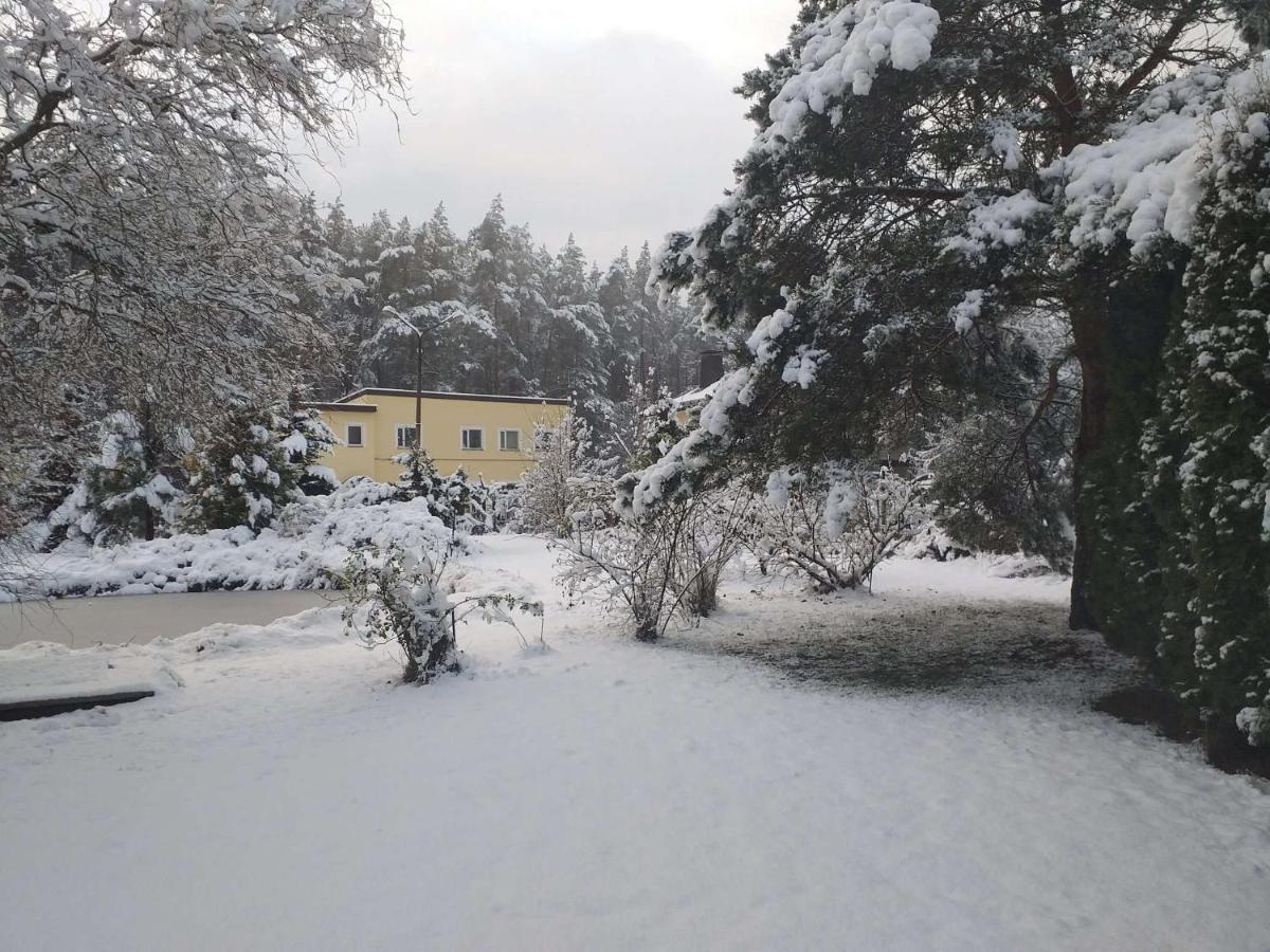 Guest House Pechersky & Sons Dreilini  Екстер'єр фото
