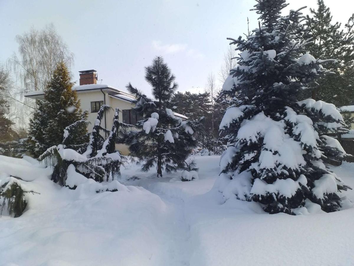 Guest House Pechersky & Sons Dreilini  Екстер'єр фото