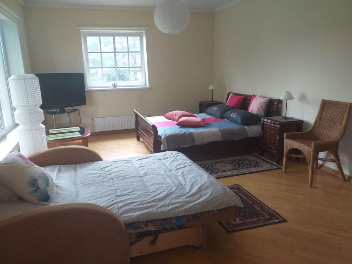 Guest House Pechersky & Sons Dreilini  Екстер'єр фото