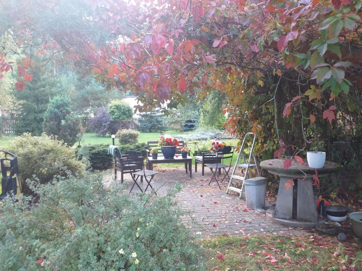 Guest House Pechersky & Sons Dreilini  Екстер'єр фото