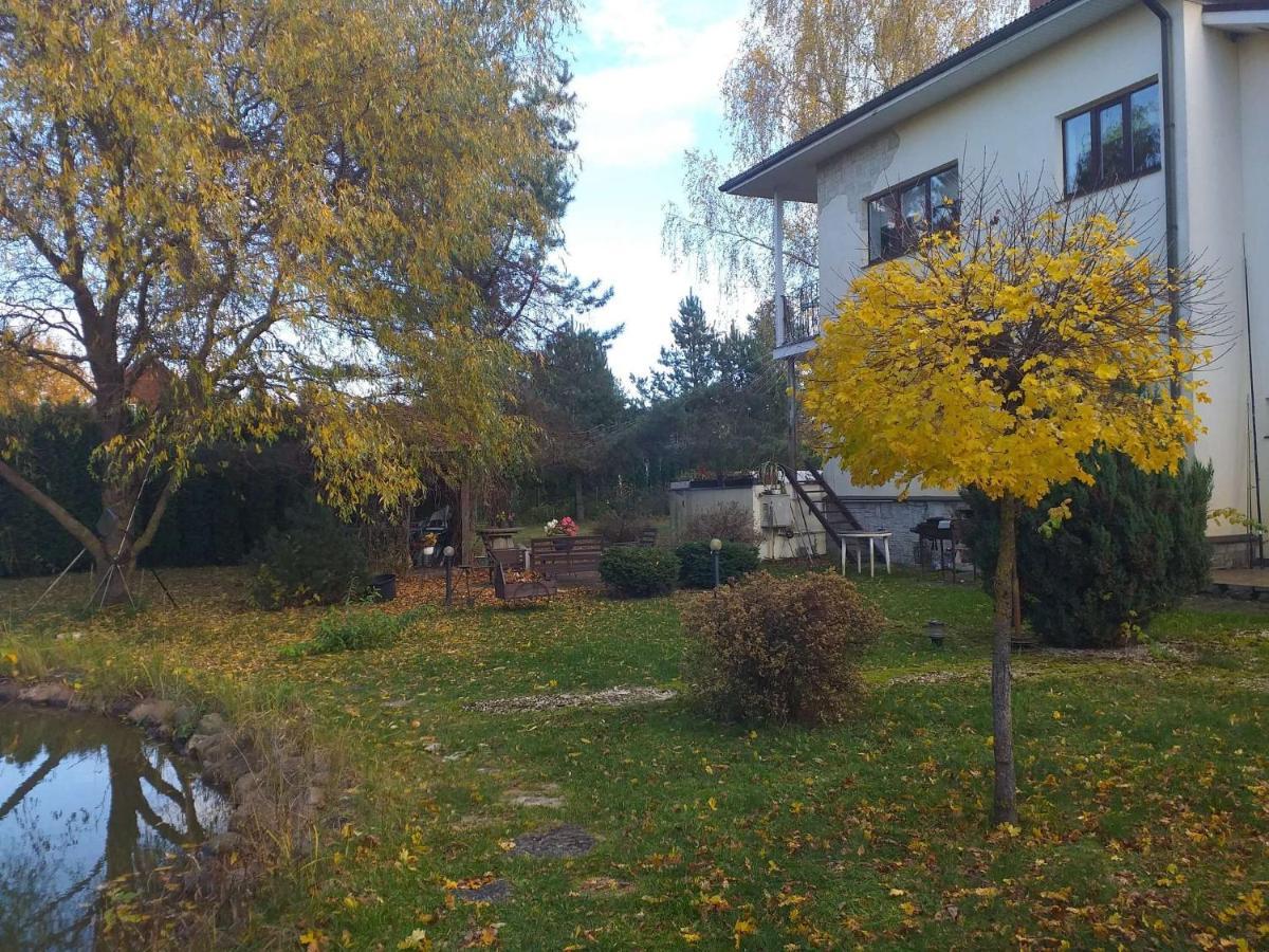 Guest House Pechersky & Sons Dreilini  Екстер'єр фото