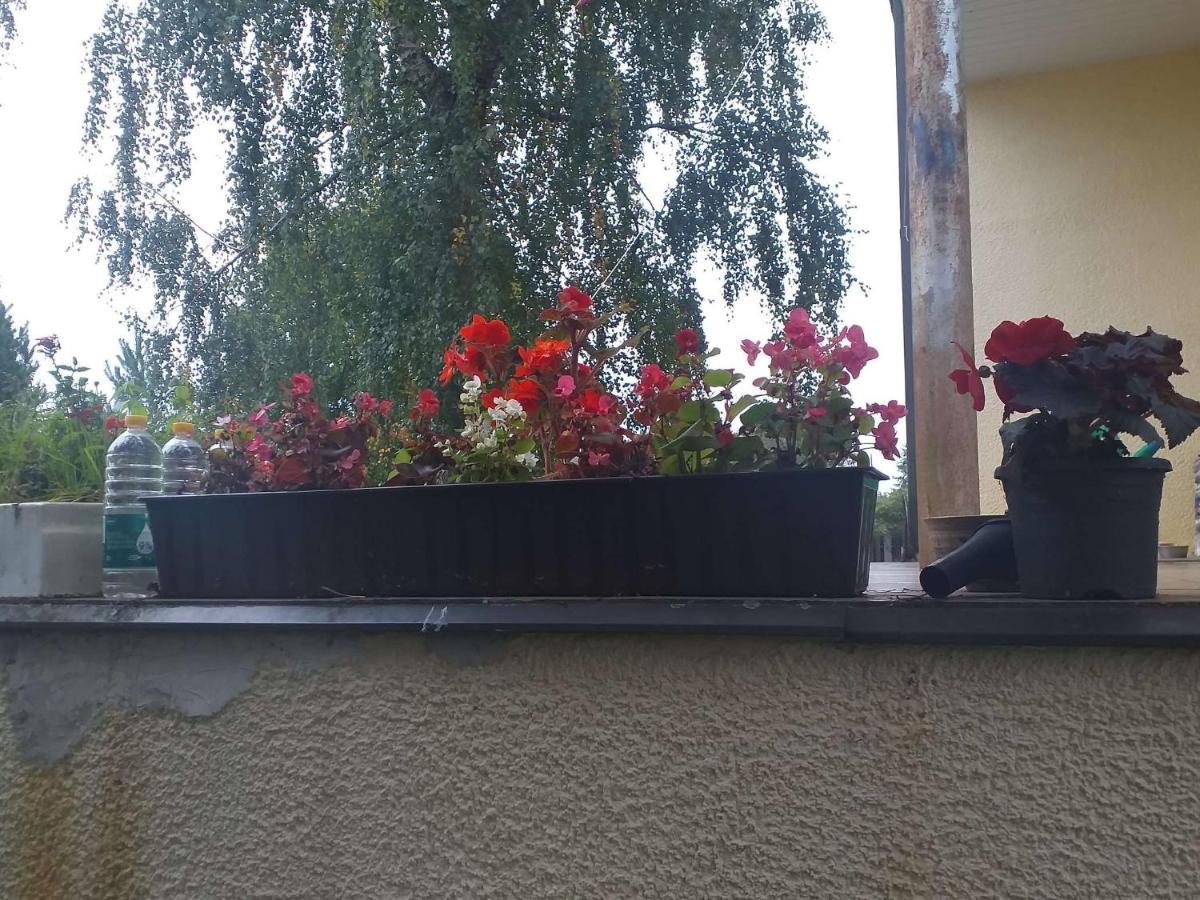 Guest House Pechersky & Sons Dreilini  Екстер'єр фото